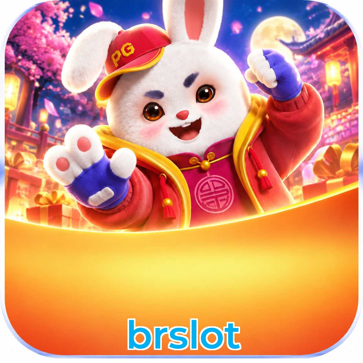 brslot Interface